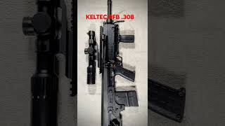 KELTEC RFB in 308 [upl. by Foote798]