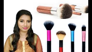 How To Use Basic Makeup Brushes in Tamil Tutorial [upl. by Jasmin515]