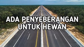 5 JALAN TOL TERPANJANG DI ERA JOKOWI PRESIDEN INDONESIA [upl. by Maitland971]