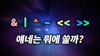 비트연산자들을 알아보자  자바에서의 특별한 활용 [upl. by Orabla]