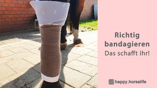 Richtig bandagieren  Anleitung am Pferd  Das schaffst du auch  Wann mit Bandagierunterlagen [upl. by Marcella]