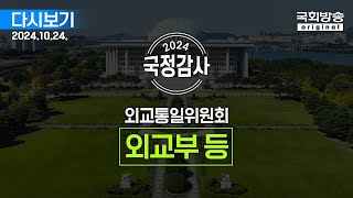 국회방송 생중계 2024년 국정감사 외통위  외교부 등 종합감사 2부 241024 [upl. by Wsan43]