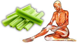 Eat Celery Every Day And See These Astonishing Changes In Your Body [upl. by Ophelie195]