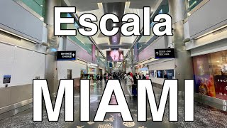 Vuelo en conexión ✈️ Aeropuerto Miami [upl. by Col]