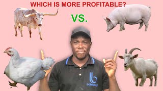 BROILERS vs PIGS vs GOATS vs CATTLE  Which is More PROFITABLE [upl. by Gisella753]