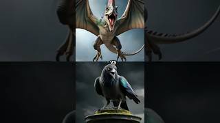 Pteranodon vs Birds vs Dinosaur Hawk Spinosaurus TRex animals [upl. by Connelly]