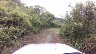 Mazda BT50 pro  Test Drive [upl. by Lladnek]