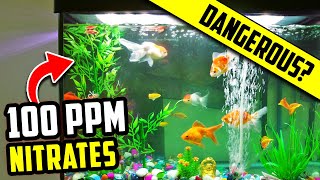 Are Nitrates in Your Aquarium Good or Bad How to Find The Ideal Level [upl. by Niwled]