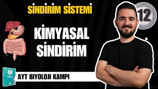 AYT Biyoloji Kampı  12 GÜN  Besinlerin Kimyasal Sindirimi  yks2025 [upl. by Annadiane214]