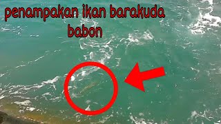 Tes unit SKBR di laut langsung poin ikan babonquot [upl. by Nelan516]