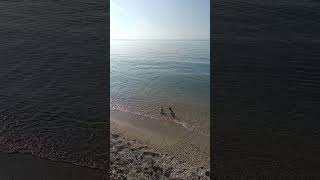 Bardolino Lago di Garda [upl. by Needan]