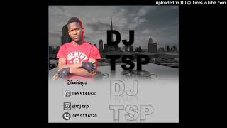 Dj Tsp  BirthdayMixToDj Tsp [upl. by Christiano675]