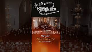 Pilgrims Chorus «Tannhauser» Male voice Choir SangKam  Hamar domkirke june 4 2023 music choir [upl. by Anilrats]