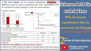 Rôle du muscle strié squelettique dans la conversion de lénergie  soutien et renforcement  2Bac [upl. by Hplodur]