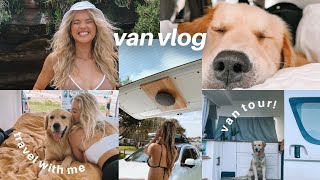 VAN LIFE  Travel With Me  My Puppy  Van Tour [upl. by Nivlen]