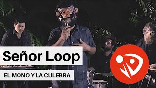 Señor Loop  El mono y la culebra Video Oficial [upl. by Rednas]