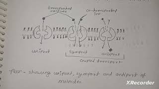 Permeability passive and active transport membrane channels and pump  full notes in hindi msc [upl. by Yadseut601]