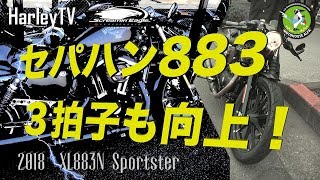 【883の3拍子は、チューニングでさらに変えられるのか？】馬力じゃない！街中だ！セパハン 2018 アイアン883 XL883N Sportster ハーレーTV  ハーレーダビッドソン東久留米 [upl. by Eseilanna]