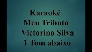 Meu Tributo 1 Tom abaixo Karaokê [upl. by Noruq]