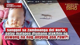 Sanggol patay matapos diumano atakihin ng aswang na naganyong aso raw  Kapuso Mo Jessica Soho [upl. by Aneeg]