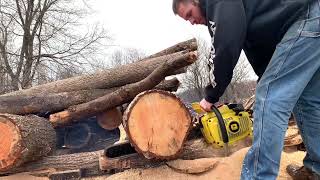 Twin Cylinder John Deere 66sv Chainsaw same as Echo 610evl Cutting 25” Bar [upl. by Ayiotal]