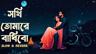 Sokhi Tomare Badibo  সখি তোমারে বাধিবো  Imran Mahmudul  TPS Lofi ❤️🌼 [upl. by Ainyt]