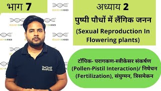 अध्याय 2 भाग 7 पुष्पी पौधों में लैंगिक जनन  जीव विज्ञान कक्षा 12  Sexual repro in flowering plant [upl. by Veno215]