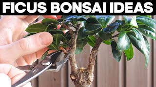 Ficus Bonsai Trees  Pruning and Shaping Ideas 🌱 [upl. by Peale]