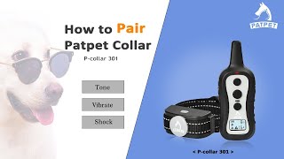 Pair the Dog Training Collar  Patpet 301 [upl. by Rosella]