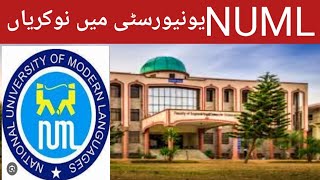 NUML jobs 2024  How to apply NUML jobs 2024 National university of modern languages vacancies 2024 [upl. by Linskey]