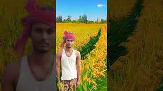 Mere desh ki dharti Sona ugle ugle Hira moti reels shorts [upl. by Kerred]