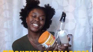 Routine capillaire Hydratation des cheveux [upl. by Nnuahs487]