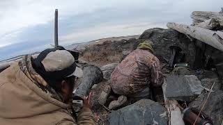 Spring Goose Hunt 2023 in James Bay [upl. by Enylecoj684]