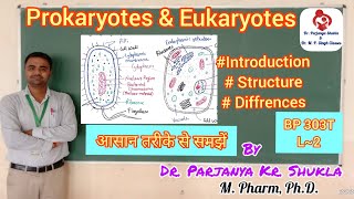 Introduction to Prokaryotes amp Eukaryotes  Differences in Prokaryotic amp Eukaryotic CellsBP 303T L2 [upl. by Eatnom408]