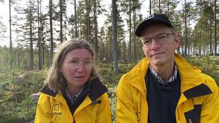 Skogforsk on Forests and society towards 2050 – IUFRO World Congress 2024 Sweden [upl. by Wollis]