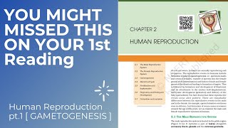 Gametogenesis  Human Reproduction  2 Class 12th Neet  Prep Ally [upl. by Ayrolg67]