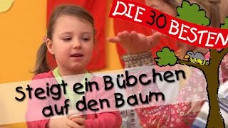 👩🏼 Steigt ein Bübchen auf den Baum  Singen Tanzen und Bewegen  Kinderlieder [upl. by Olethea987]