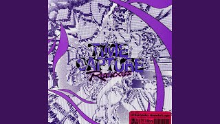 Time Capture Harmful Logic Remix [upl. by Atteselrahc]