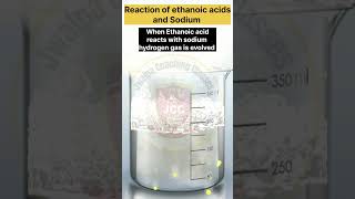 Reaction of Ethanoic acid with sodium shortsfeed practical scienceexperiment chemistry shorts [upl. by Petey]