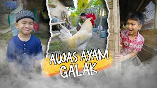 BEST OF MARVIN CALLA  Video Lucu  Viral 6 [upl. by Islek483]