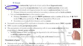 Biochem Final Lecture 08  Nucleotide Metabolism II [upl. by Neelyk]