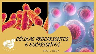 CÉLULAS PROCARIONTES E EUCARIONTES  Ensino Fundamental [upl. by Moon752]