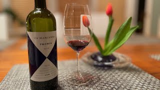 Ca Marcanda 2019 Promis IGT Toscana Italian Premium Wine Review [upl. by Kraska]