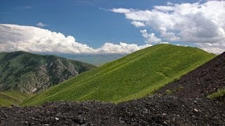 Experiment With Shungite Water and Plants [upl. by Airrehs615]