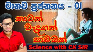 මානව ප්‍රජනනය ආරම්භය  grade 10  science  විද්‍යාව  10 ශ්‍රේණිය  lesson 14 day 01 CK science [upl. by Atiras846]