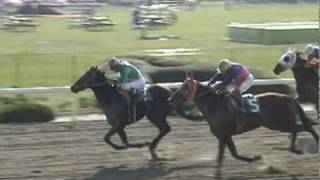 ２００３年１１月１６日、高崎競馬場の４レースと６レースのゴール前 [upl. by Adnak871]