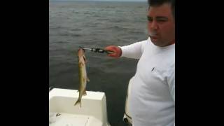 Fishing on Oneida Lake [upl. by Caryl]