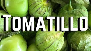 TOMATILLO 7 Tips on How to Grow Tomatillo Successfully [upl. by Ydnirb]