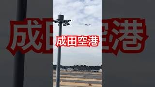 【成田空港】利用は羽田ばかりなのでたまに成田空港へ行くと何時間も滞在してしまう✈️ 成田空港 [upl. by Elane]