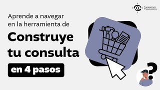 Aprende a navegar en la herramienta de Construye tu consulta en 4 Pasos [upl. by Airda]